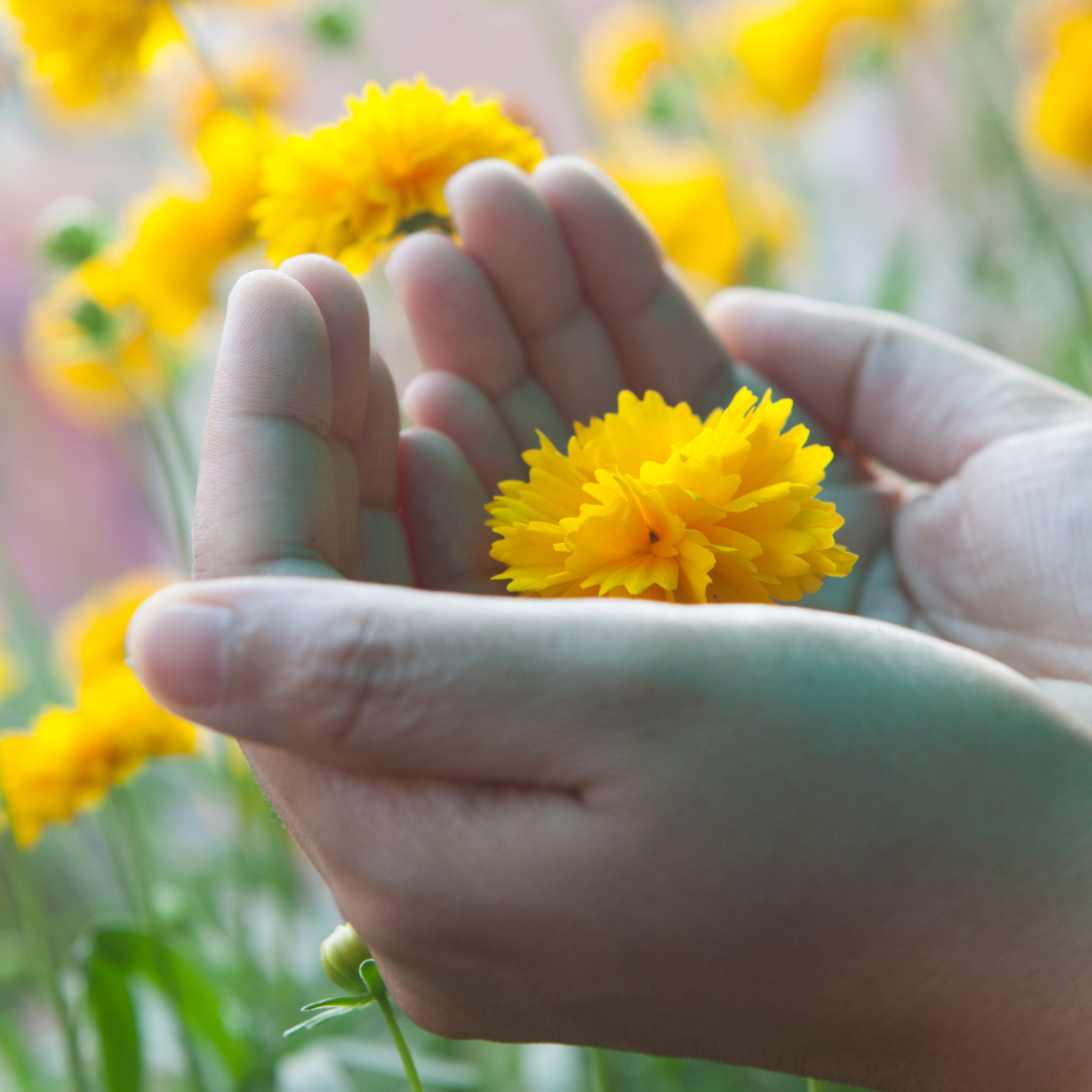 Ecological Education in the Home